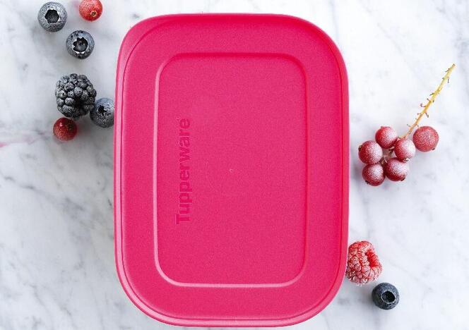 Tupperware Freezer Mates® hoch 1.1 l (2) 