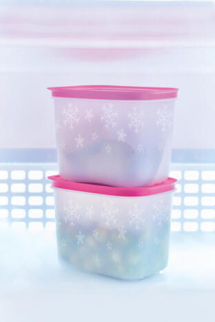Tupperware Freezer Mates® hoch 1.1 l (2) 