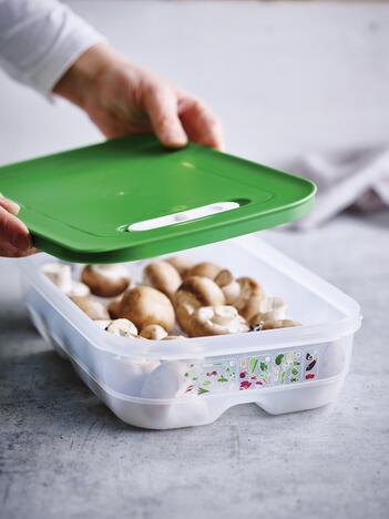 Tupperware VentSmart® flach 1.8 l tupperware_ww_st_2101_4081.jpg
