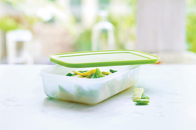 Tupperware Freezer Mates® piatto 1 l 