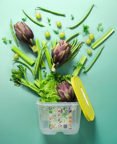 Tupperware VentSmart®-Set (5) 