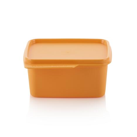 Tupperware Carina 500 ml 