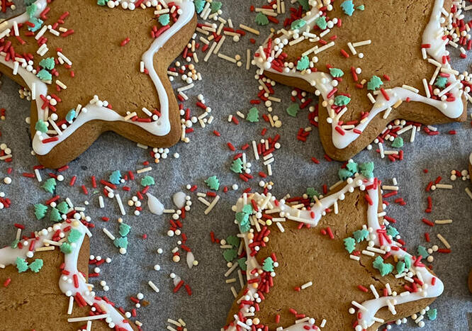 Tupperware Cookie di pan di spezie 